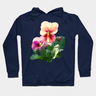 Sunlit Pansies Hoodie